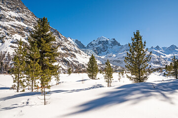 Fototapeta na wymiar Val Roseg, in the Engadine, Switzerland, photographed on a sunny winter day.