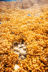 buceo y playa