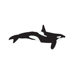 Orca whales. Sea animal killer whales. Marine animal in Scandinavian style.