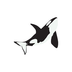 Orca whales. Sea animal killer whales. Marine animal in Scandinavian style.