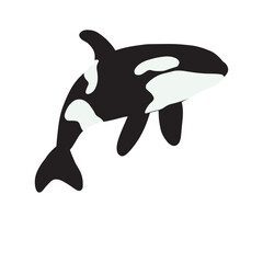Fototapeta premium Orca whales. Sea animal killer whales. Marine animal in Scandinavian style.