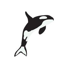 Orca whales. Sea animal killer whales. Marine animal in Scandinavian style.