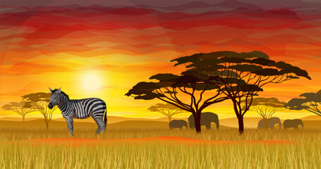 African zebra on bright ievening dusk background realistic vector illustration. Ideal for safari or wildlife park presentation.