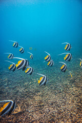 buceo y playa