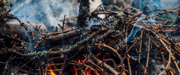 Burning branches and brushwood in fire close-up. Atmospheric warm background with orange flame of campfire and blue smoke. Beautiful full frame image of bonfire. Firewood burns in vivid flames.