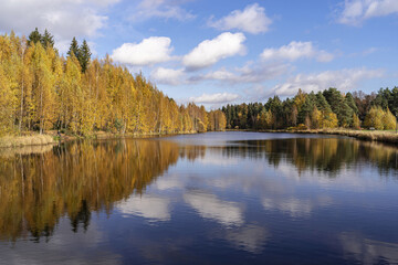 Autumn landscape on a sunny day, on the lake. Melnichny Stream, Leningrad Region, Northwest Russia