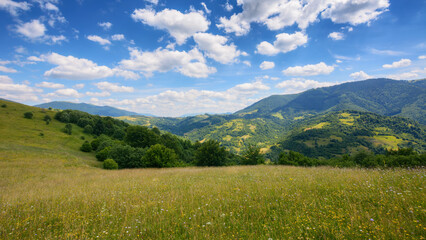 Fototapeta premium a picturesque mountainous countryside scene featuring a serene meadow and lush green pastures. the vast grassy fields stretch out under the bright summer sky, creating a stunning landscape