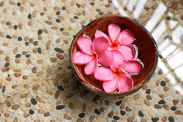 Wet flower after the rain