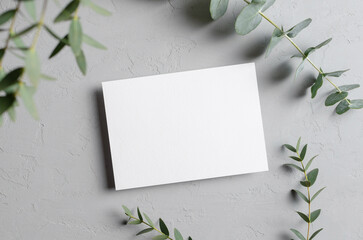 Invitation or greeting card mockup with natural eucalyptus twigs on grey