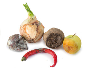 rotten vegetables potatoes, onions, peppers, apples, beets on a white background isolated.