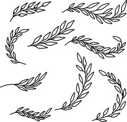 Set of floral design elements in vintage style. Design element for decorations. Vector illustration
