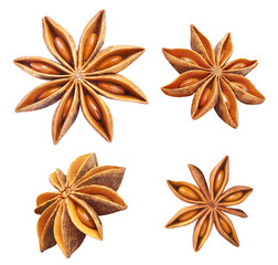 Set of delicious star anise cut out