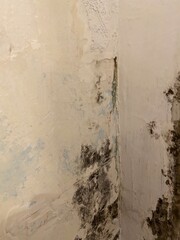 Moldy room renovation 