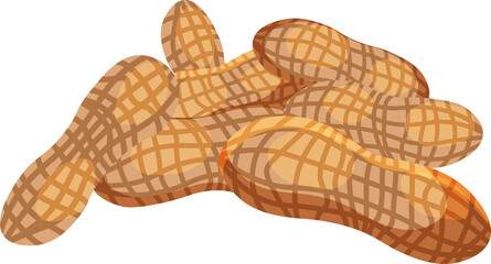 Peanut. Peanut beans isolated. nuts