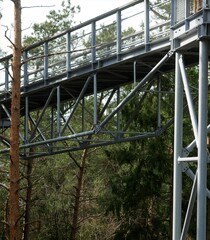 Elevated path, made possible by a metal scaffold, leading through a dense Central European forest, seen from the ground.