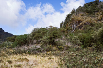 Fototapeta na wymiar Papallacta Pass Ecuador