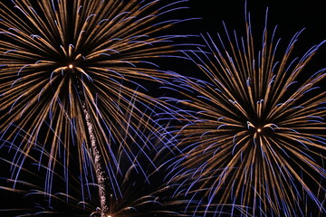 夜空の芸術　花火