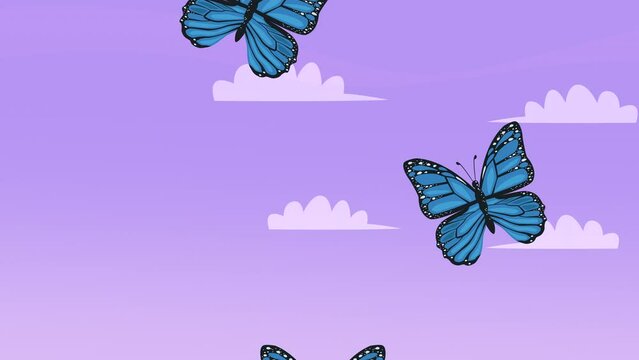 beauty blue butterflies insects flying animation
