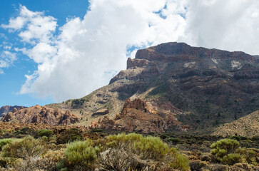 Fototapeta na wymiar Surroundings of the volcano Teide with hardened lava and mountain vegetation. Teide National Park mountain landscape above the clouds. Tenerife, Canary Islands, Spain