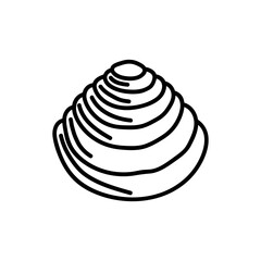 Seashells vector Hand drawn illustrations. mollusk sea shells line icon