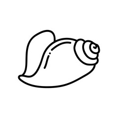 Seashells vector Hand drawn illustrations. mollusk sea shells line icon