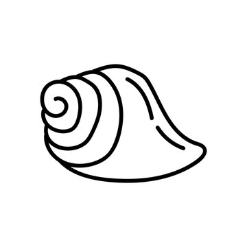 recommend clip art: Seashells vector Hand drawn illustrations. mollusk sea shells line icon