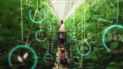 Professional Male Bioengineer Checking Progress of Crops Growing On Modern Vertical Farm. Man With Tablet Computer Cultivates Organic Food Or Plants In High-Tech Greenhouse. VFX Infographics Animation - Powered by Adobe