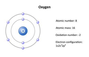 Oxygen atomic structure, atomic mass, atomic number and electron configuration. Vector illustration.