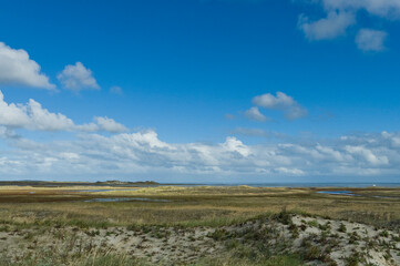 Fototapeta premium Duinen op Vlieland, Dunes at Vlieland
