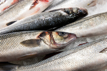 fresh fish on fish market