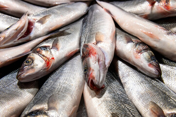 Obraz premium fresh fish on fish market
