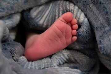 newborn foot, detail of newborn leg