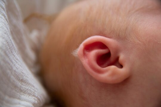 Newborn baby lanugo, first pubic hair