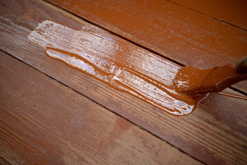 Painting the wooden floor with brown oil paint. The brush smears the paint on the wooden...