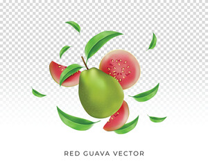 realistic fruits vector 