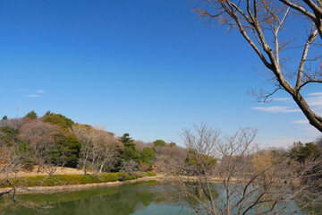 日本、神奈川県、三ッ池公園の中の池