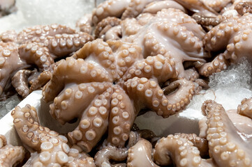 fresh octopus on fish market