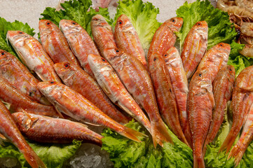 fresh mullets on fish market