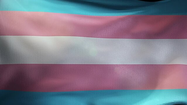 Beautiful waving transgender flag background