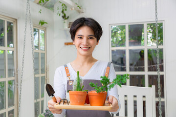 Smiling asian woman hold pot can watering green plant in office workplace. Happy female gardener or florist take care of domestic flowers.