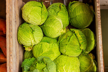 ripe cabbage in wooden box, healthy organic food, vitamins