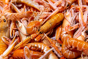 fresh orange whole shrimps