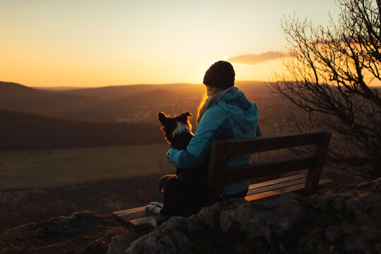border collie puppy dog and young woman owner sitting on a bench on a mountain top at sunset seen from behind