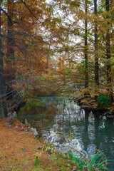 Fototapeta premium Sempione park in Milan at fall