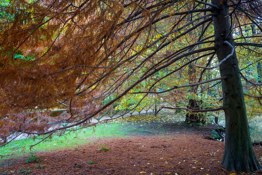 Sempione park in Milan at fall