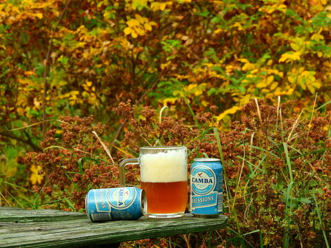 Two cans of Camba 4 Sessions session pale ale craft beer on a rustic table in a lush autumn garden, Aimusovo, Russia - October 12 2020