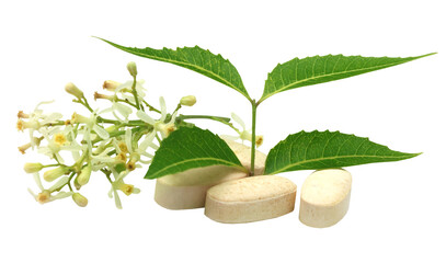 Pills with medicinal neem