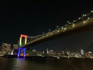 Fototapeta na wymiar TOKYO NIGHT 1