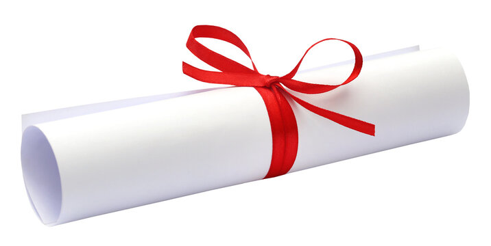 Bow knot on a scrolled paper