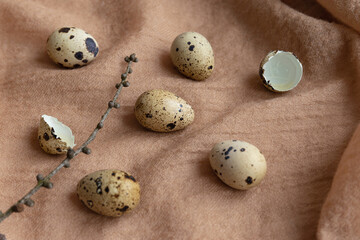 Obraz na płótnie Canvas Quail eggs and branch on pasel fabric background. Easter creative concept. Still life composition